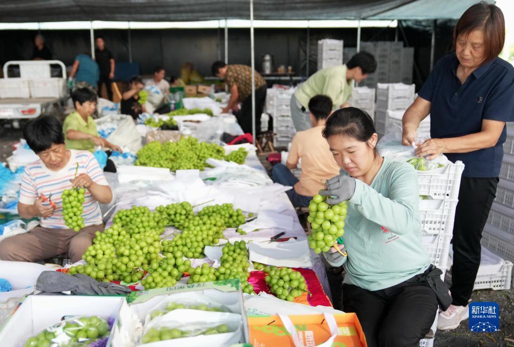 金沙手机端游戏